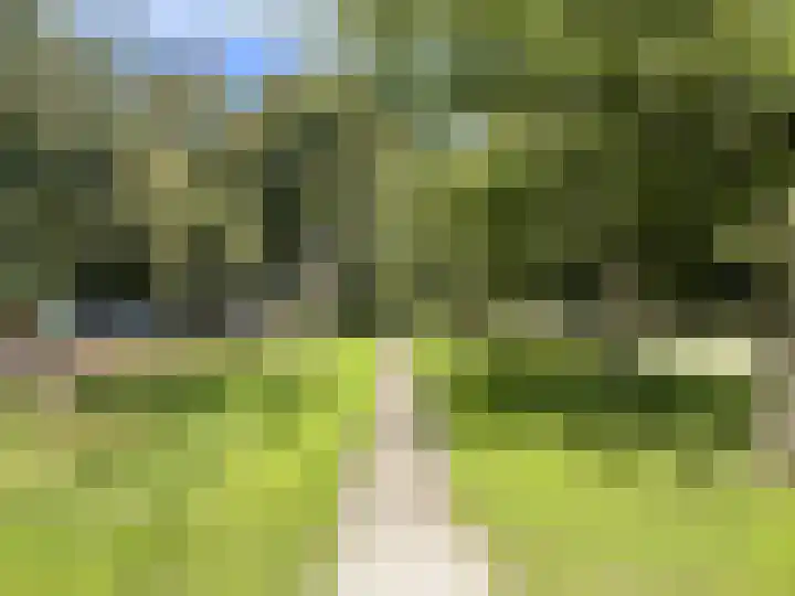 Slotlaan 64 Utrecht thumbnail 31