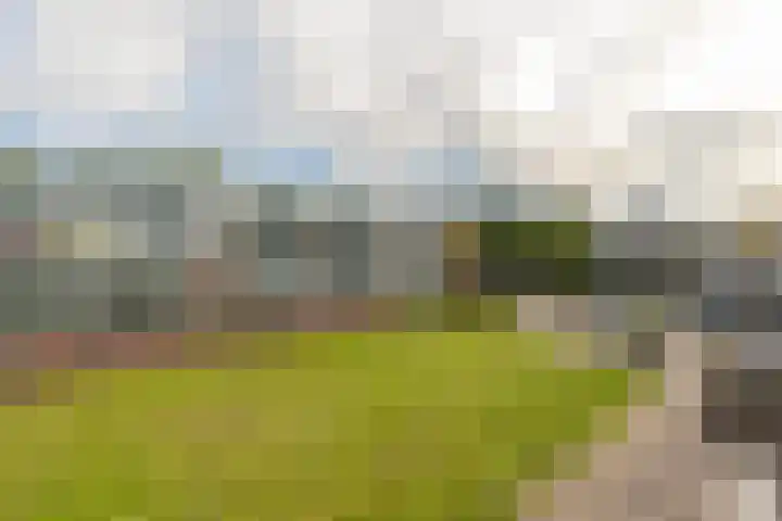 Slotlaan 65 Capelle aan den IJssel thumbnail 22