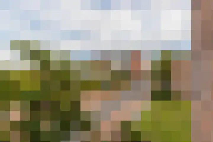 Slotlaan 65 Capelle aan den IJssel thumbnail 26