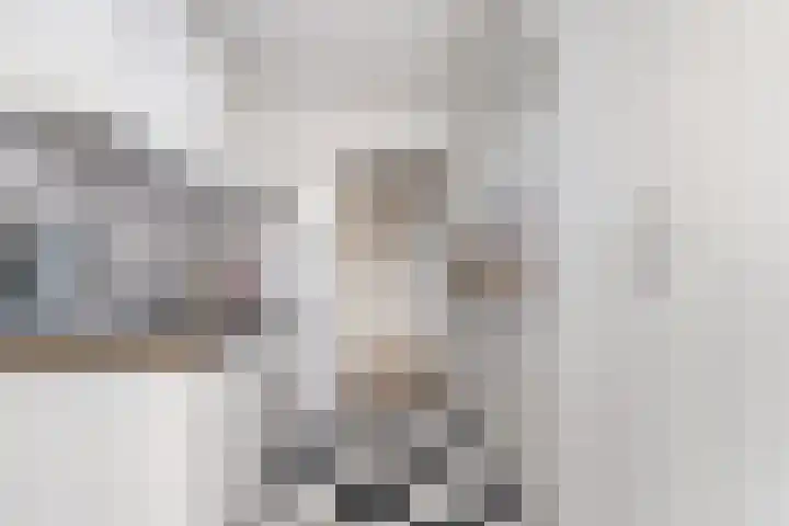 Slotlaan 65 Capelle aan den IJssel thumbnail 7