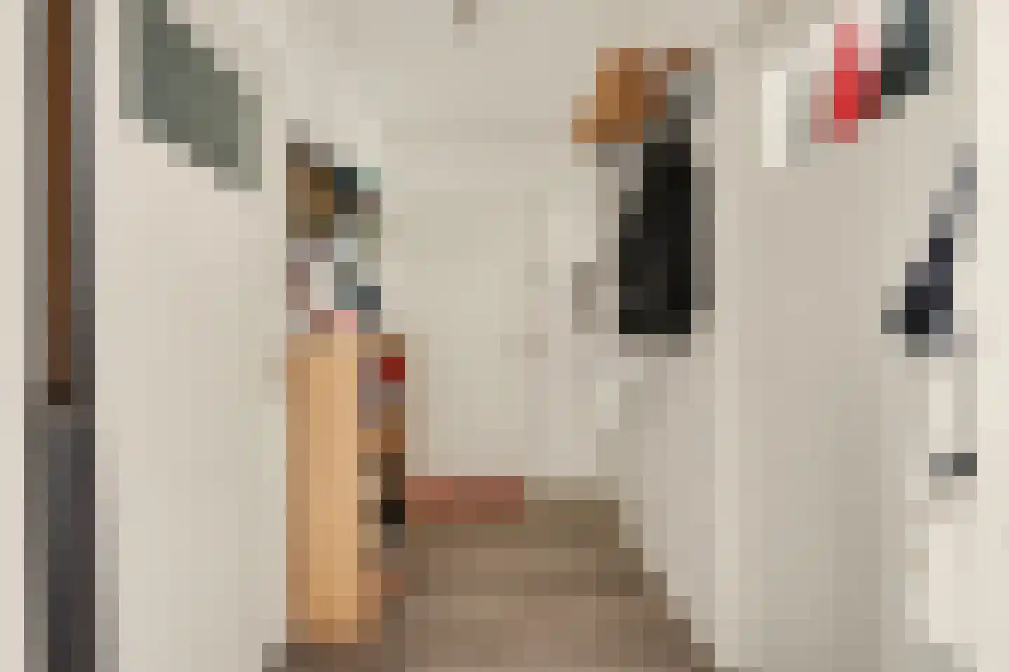 Slotlaan 76 Capelle aan den IJssel thumbnail 5