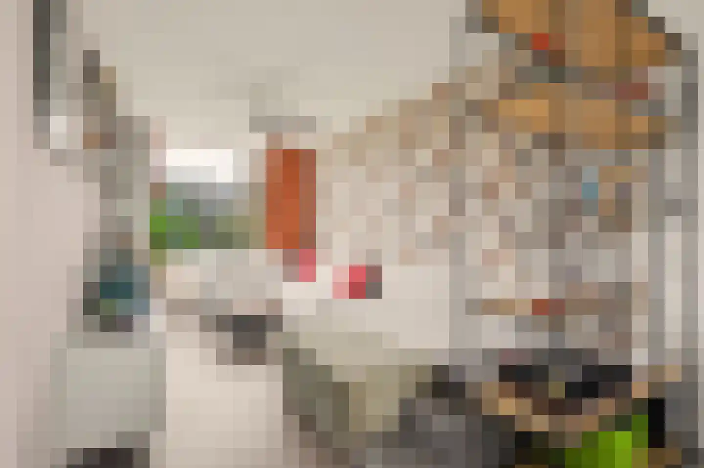 Slotlaan 76 Capelle aan den IJssel thumbnail 6