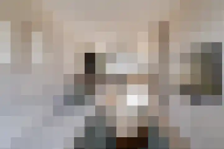 Slotlaan 79 Capelle aan den IJssel thumbnail 10