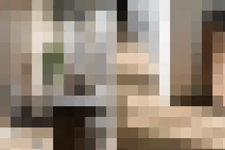Slotlaan 79 Capelle aan den IJssel thumbnail 13