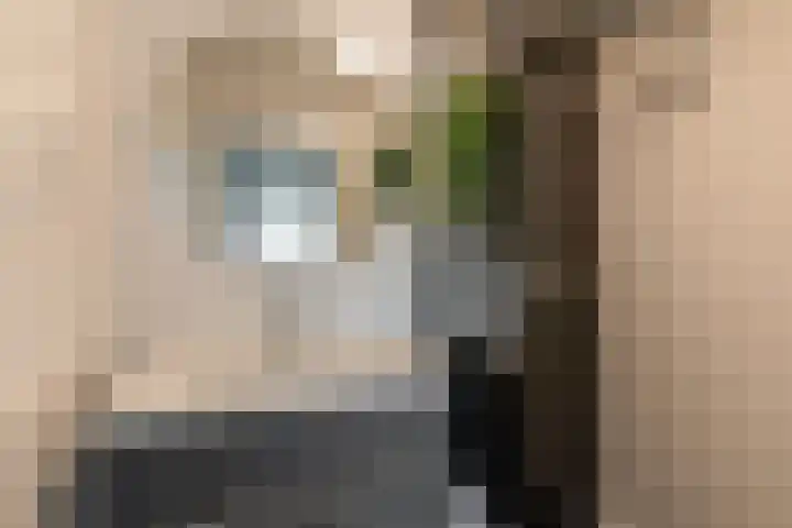 Slotlaan 79 Capelle aan den IJssel thumbnail 18
