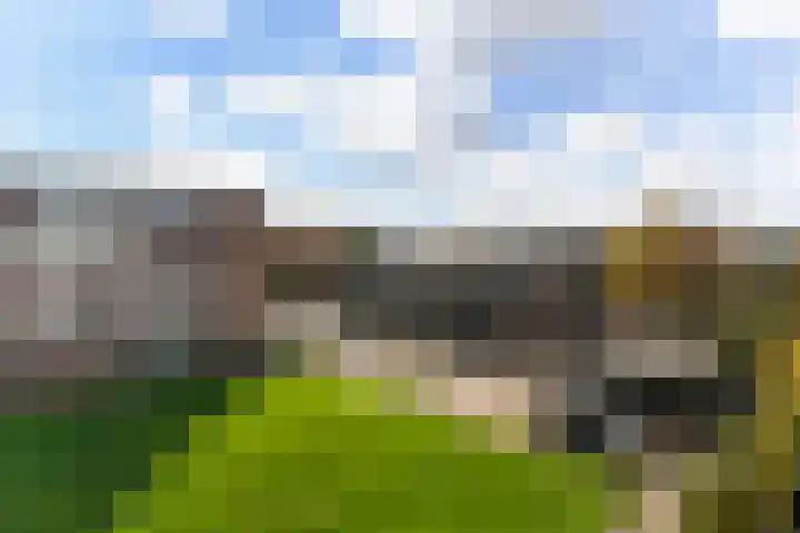 Slotlaan 79 Capelle aan den IJssel thumbnail 24