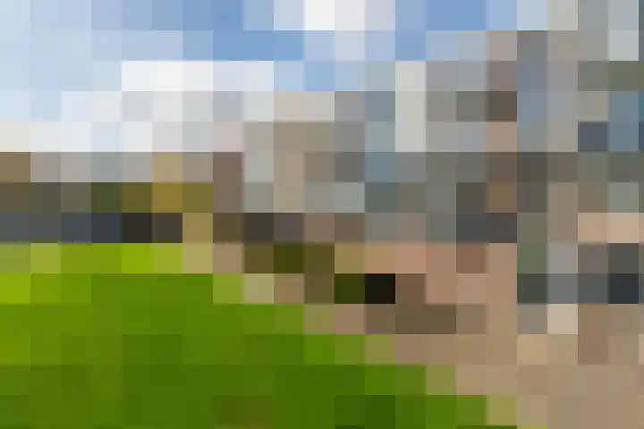 Slotlaan 79 Capelle aan den IJssel thumbnail 25