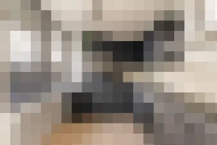 Slotlaan 79 Capelle aan den IJssel thumbnail 4