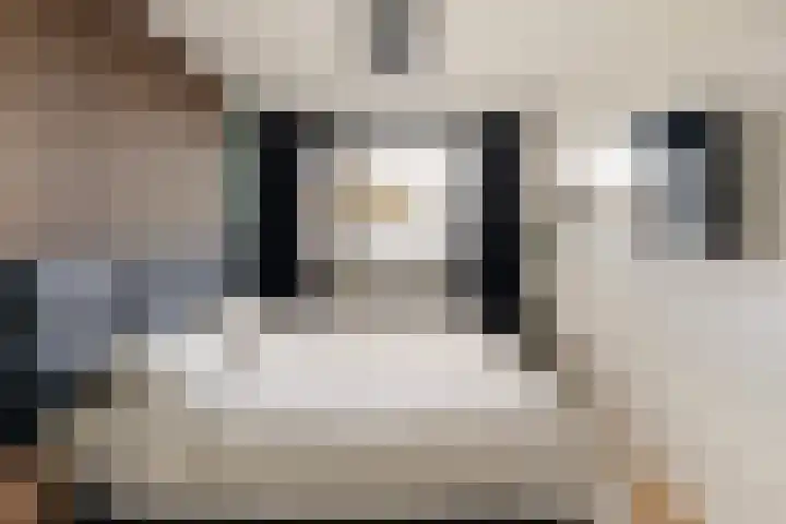 Slotlaan 79 Capelle aan den IJssel thumbnail 5