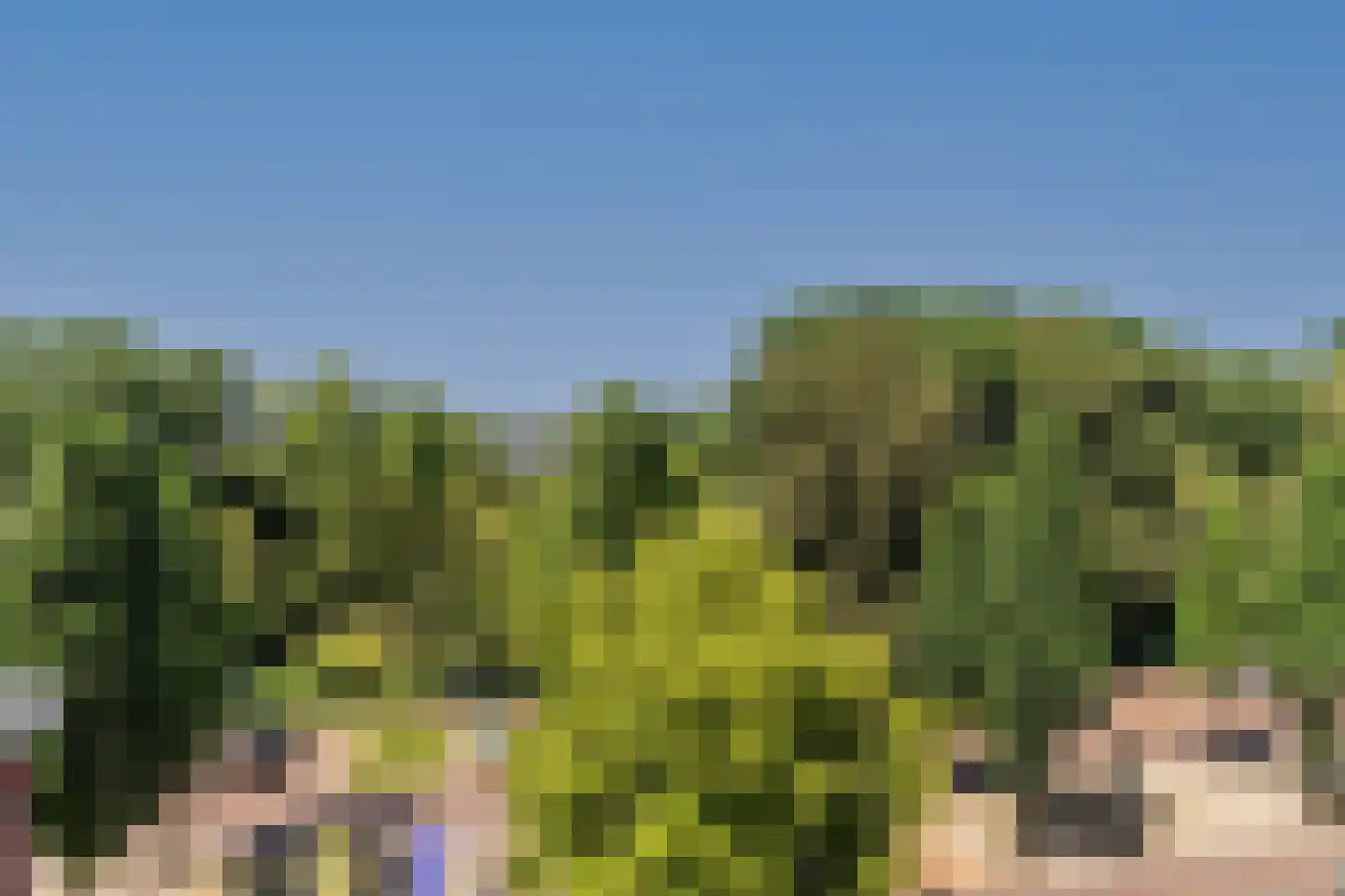 Slotlaan 8 P Zeist thumbnail 19