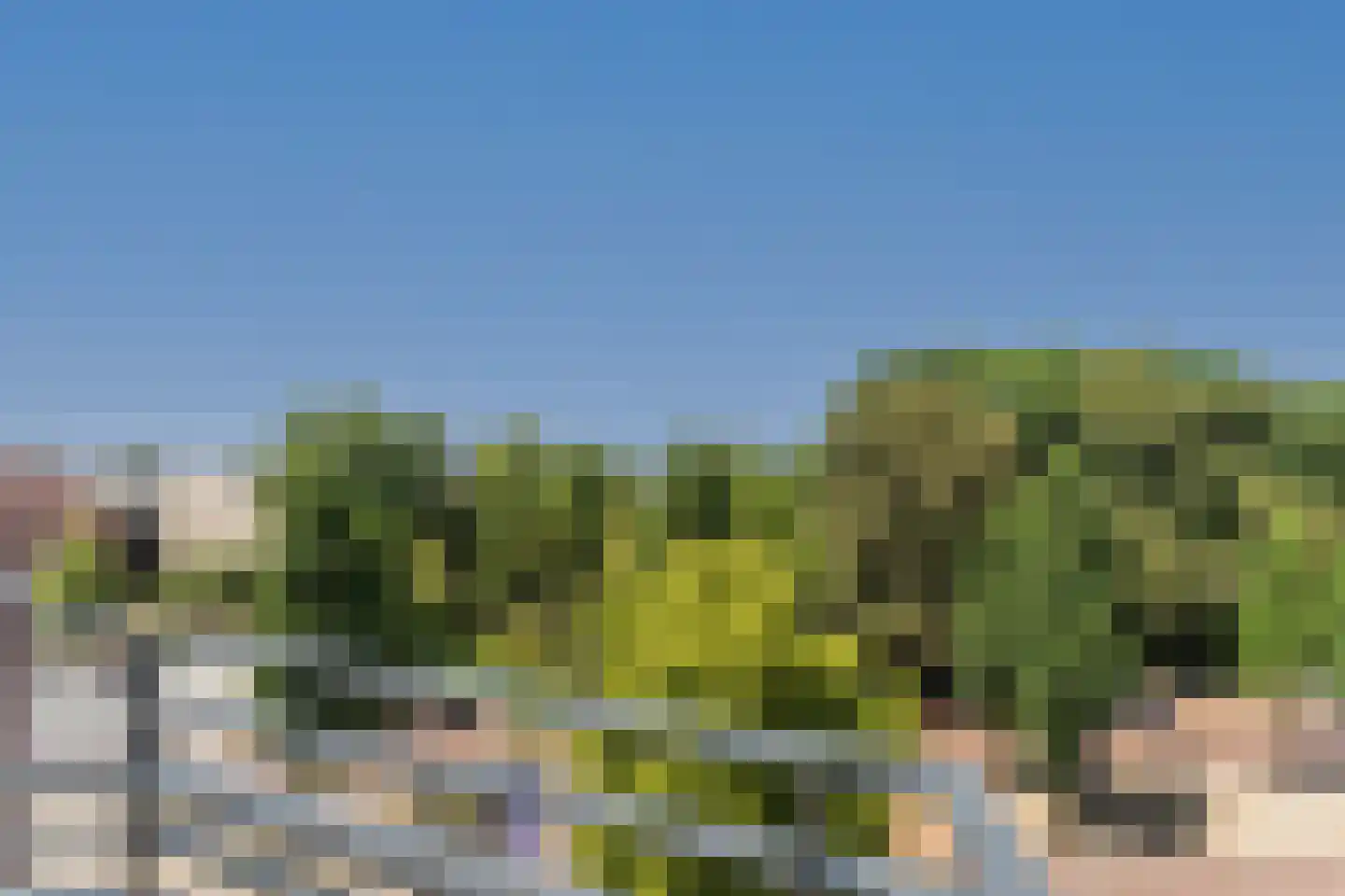 Slotlaan 8 P Zeist foto 2