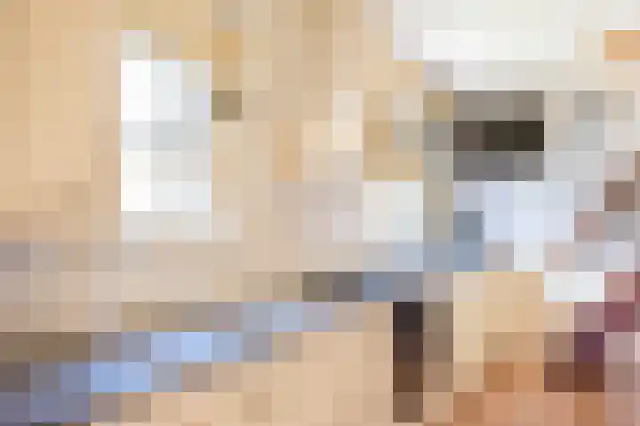 Slotlaan 8 Schoorl thumbnail 17