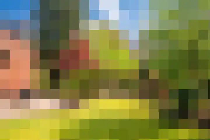 Slotlaan 8 Schoorl foto 2