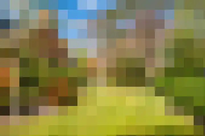 Slotlaan 8 Schoorl thumbnail 25
