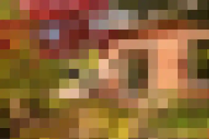 Slotlaan 8 Schoorl thumbnail 26