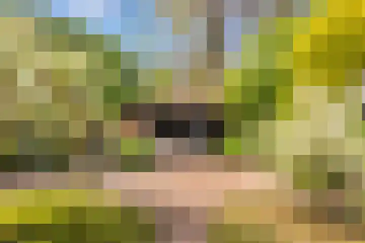 Slotlaan 8 Schoorl thumbnail 27