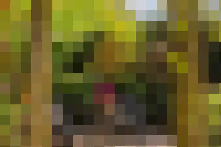 Slotlaan 8 Schoorl thumbnail 29