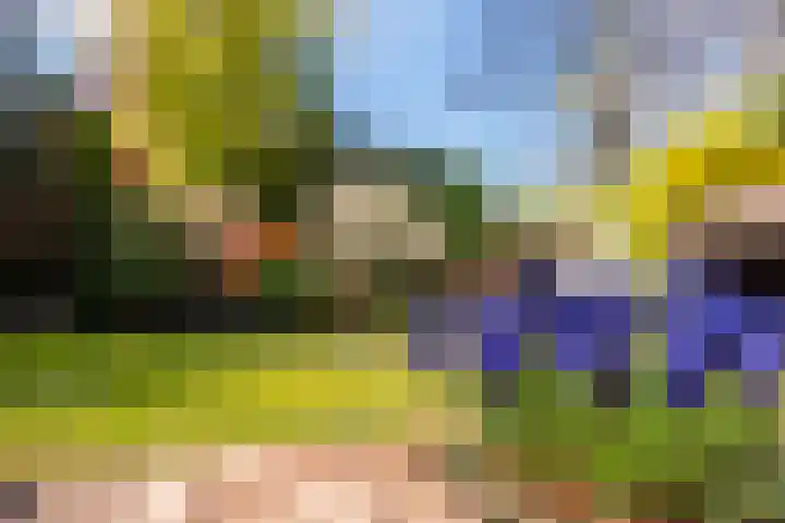 Slotlaan 8 Schoorl thumbnail 31