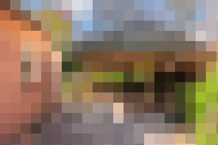 Slotlaan 8 Schoorl thumbnail 33