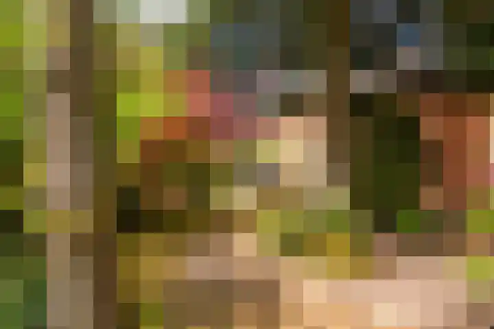 Slotlaan 8 Schoorl thumbnail 34