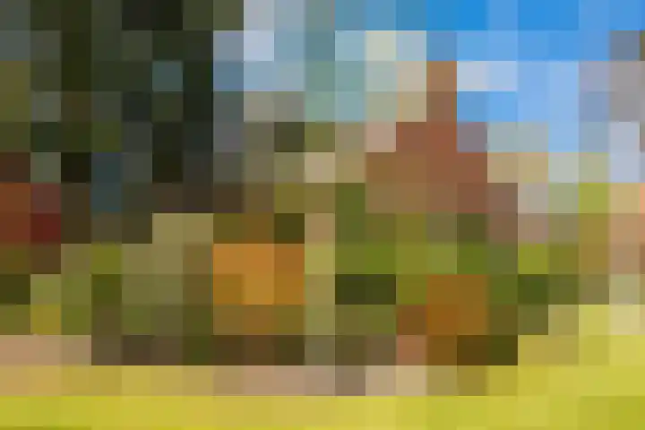 Slotlaan 8 Schoorl thumbnail 35