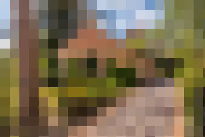 Slotlaan 8 Schoorl thumbnail 36