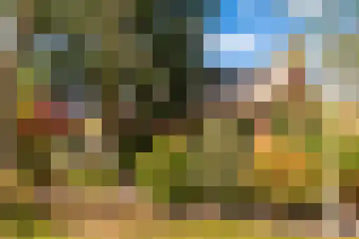 Slotlaan 8 Schoorl thumbnail 37