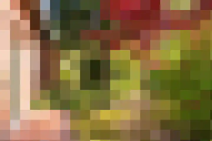 Slotlaan 8 Schoorl thumbnail 38