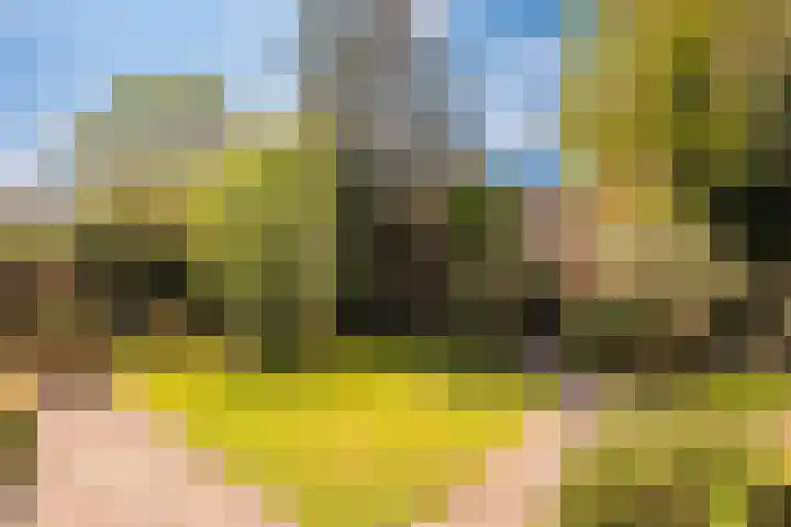 Slotlaan 8 Schoorl thumbnail 39