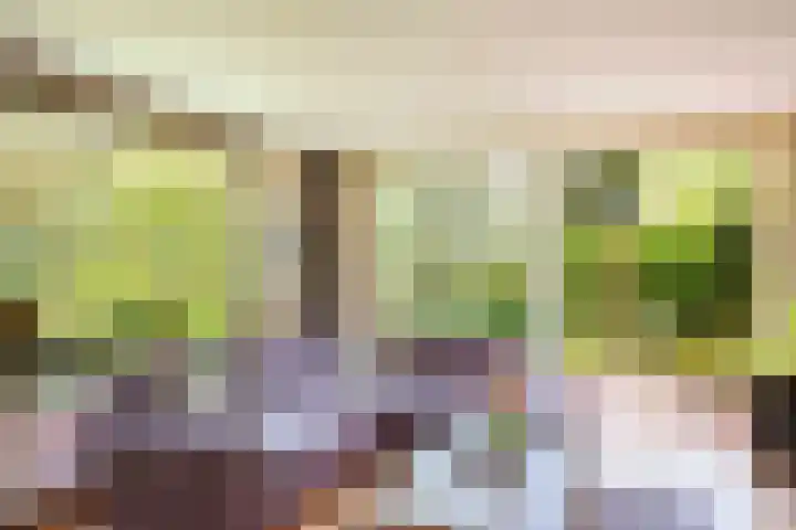 Slotlaan 8 Schoorl thumbnail 5
