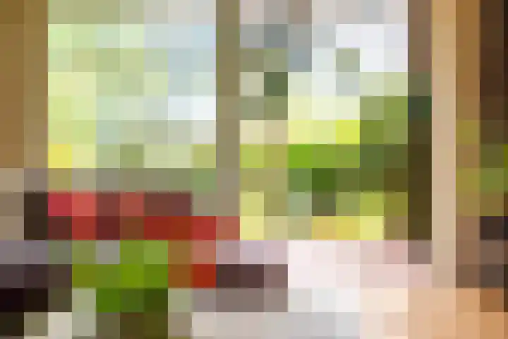 Slotlaan 8 Schoorl thumbnail 6