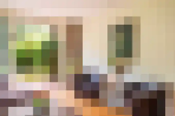 Slotlaan 8 Schoorl thumbnail 7