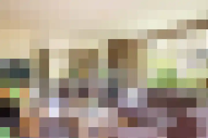 Slotlaan 8 Schoorl thumbnail 8