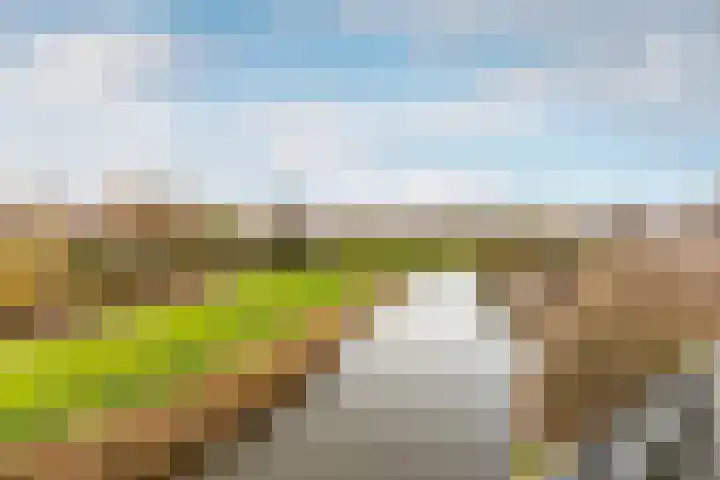 Slotlaan 80 Oostvoorne thumbnail 13