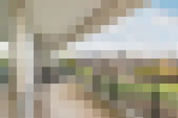 Slotlaan 80 Oostvoorne thumbnail 14