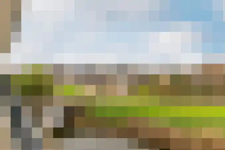 Slotlaan 80 Oostvoorne thumbnail 15