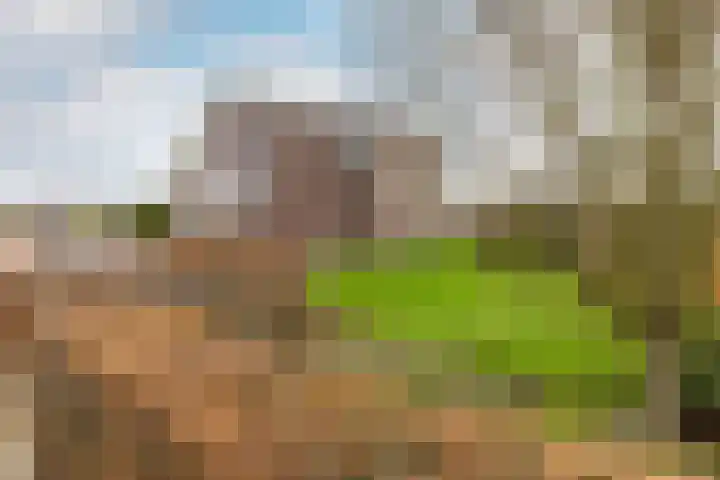 Slotlaan 80 Oostvoorne thumbnail 25