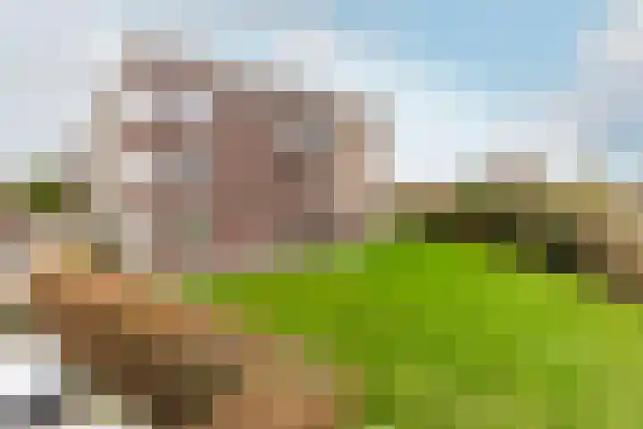 Slotlaan 80 Oostvoorne thumbnail 26