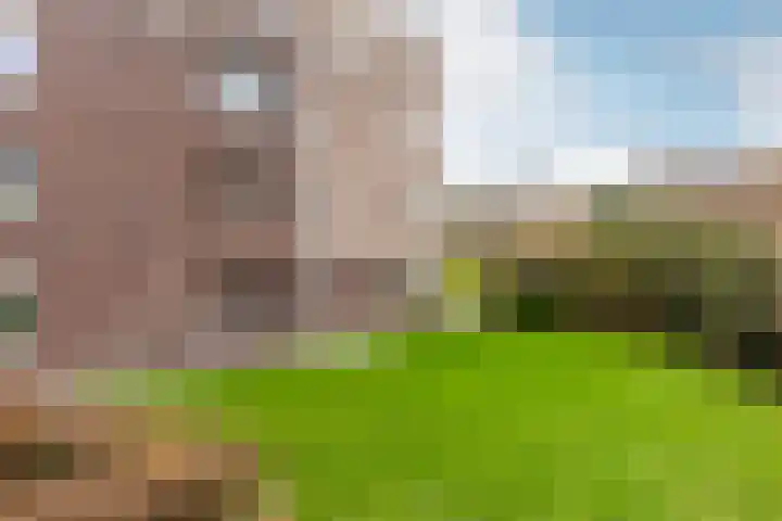 Slotlaan 80 Oostvoorne thumbnail 27