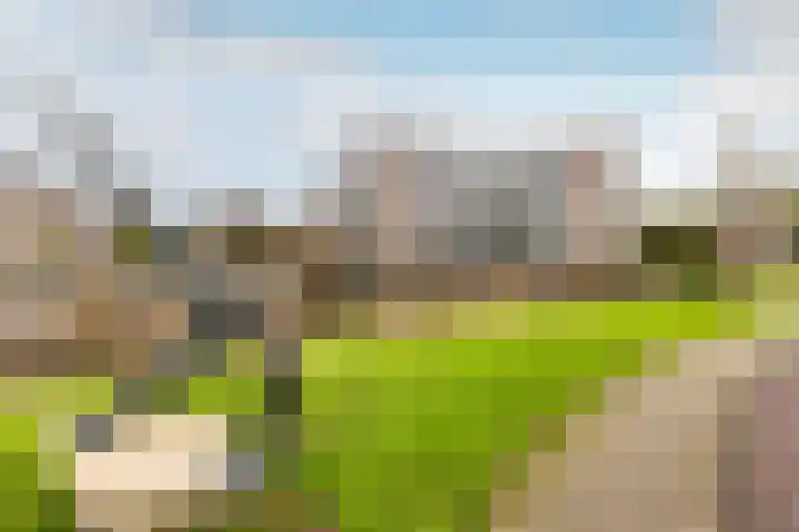 Slotlaan 80 Oostvoorne thumbnail 28