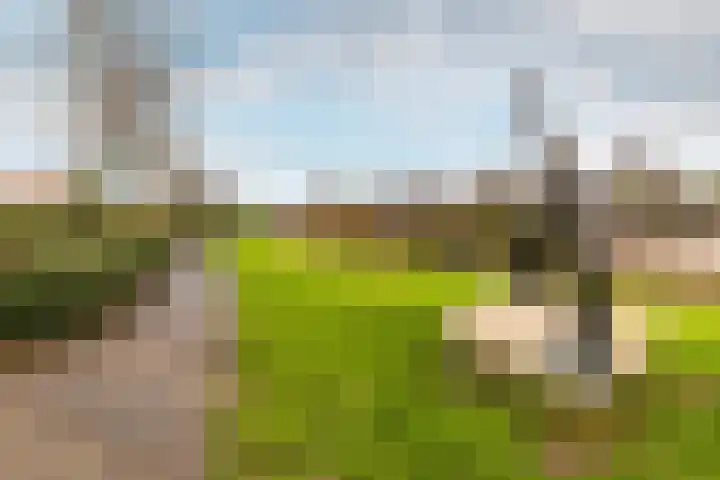 Slotlaan 80 Oostvoorne thumbnail 29