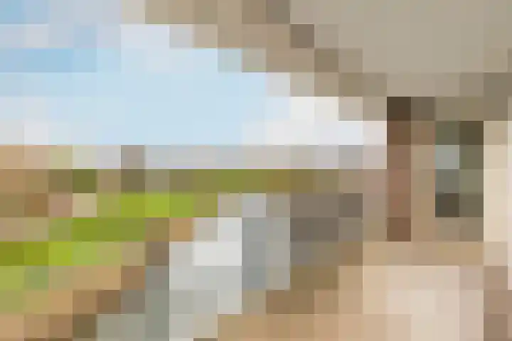 Slotlaan 80 Oostvoorne thumbnail 4