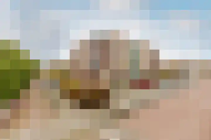 Slotlaan 80 Oostvoorne thumbnail 5