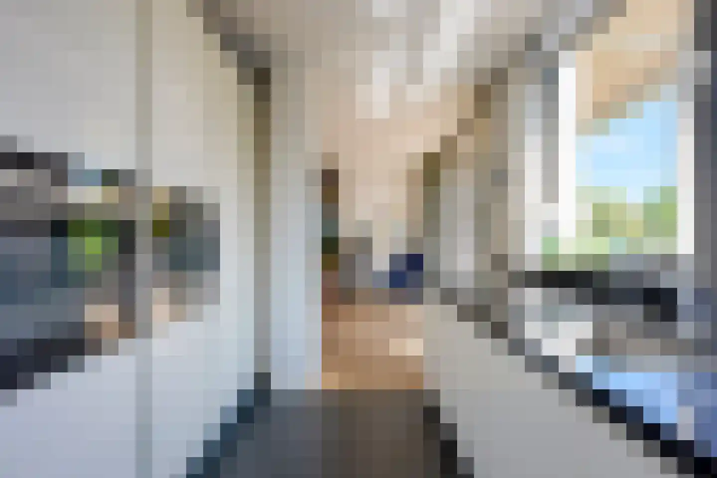 Slotlaan 82 Zeist thumbnail 24