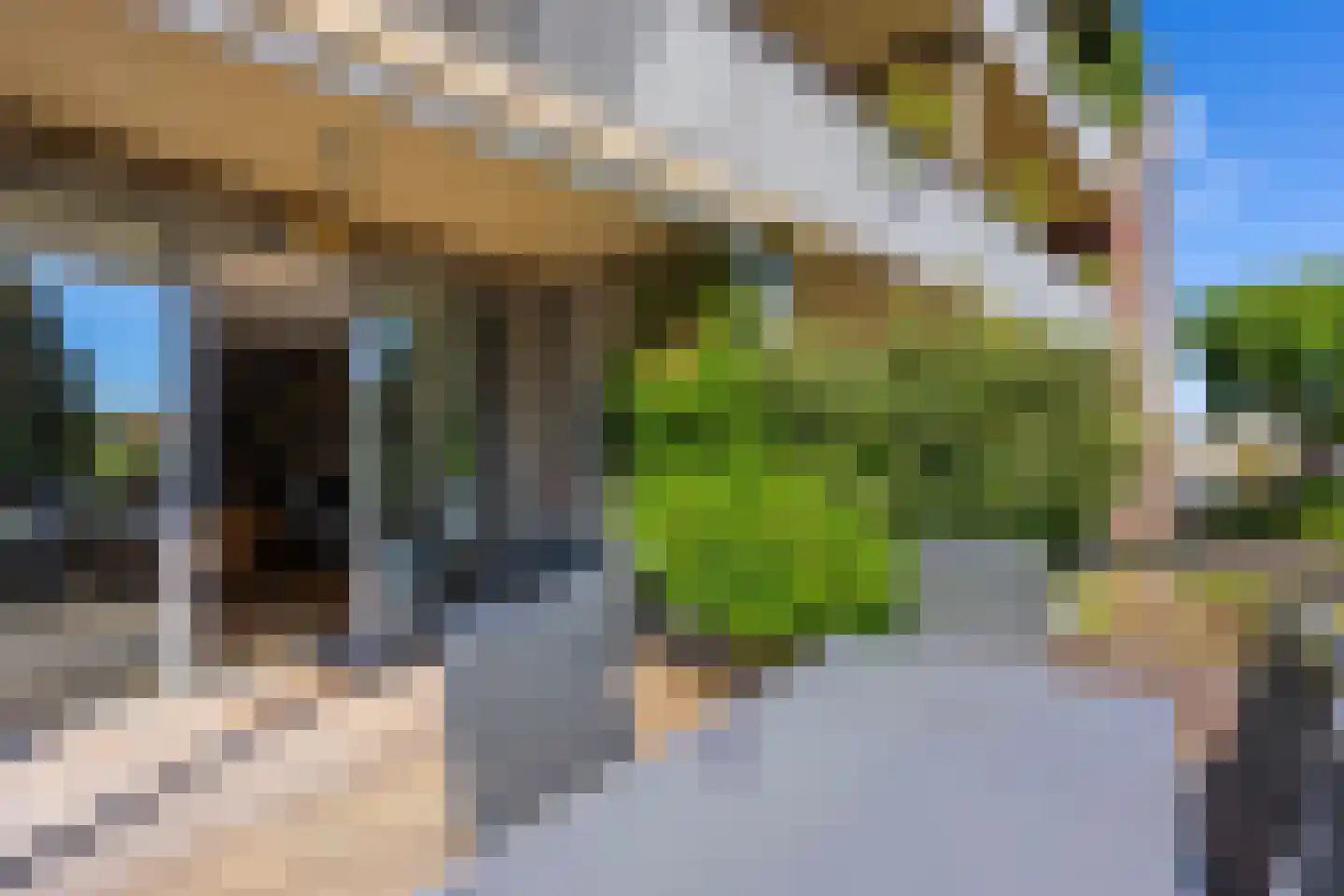 Slotlaan 82 Zeist thumbnail 27