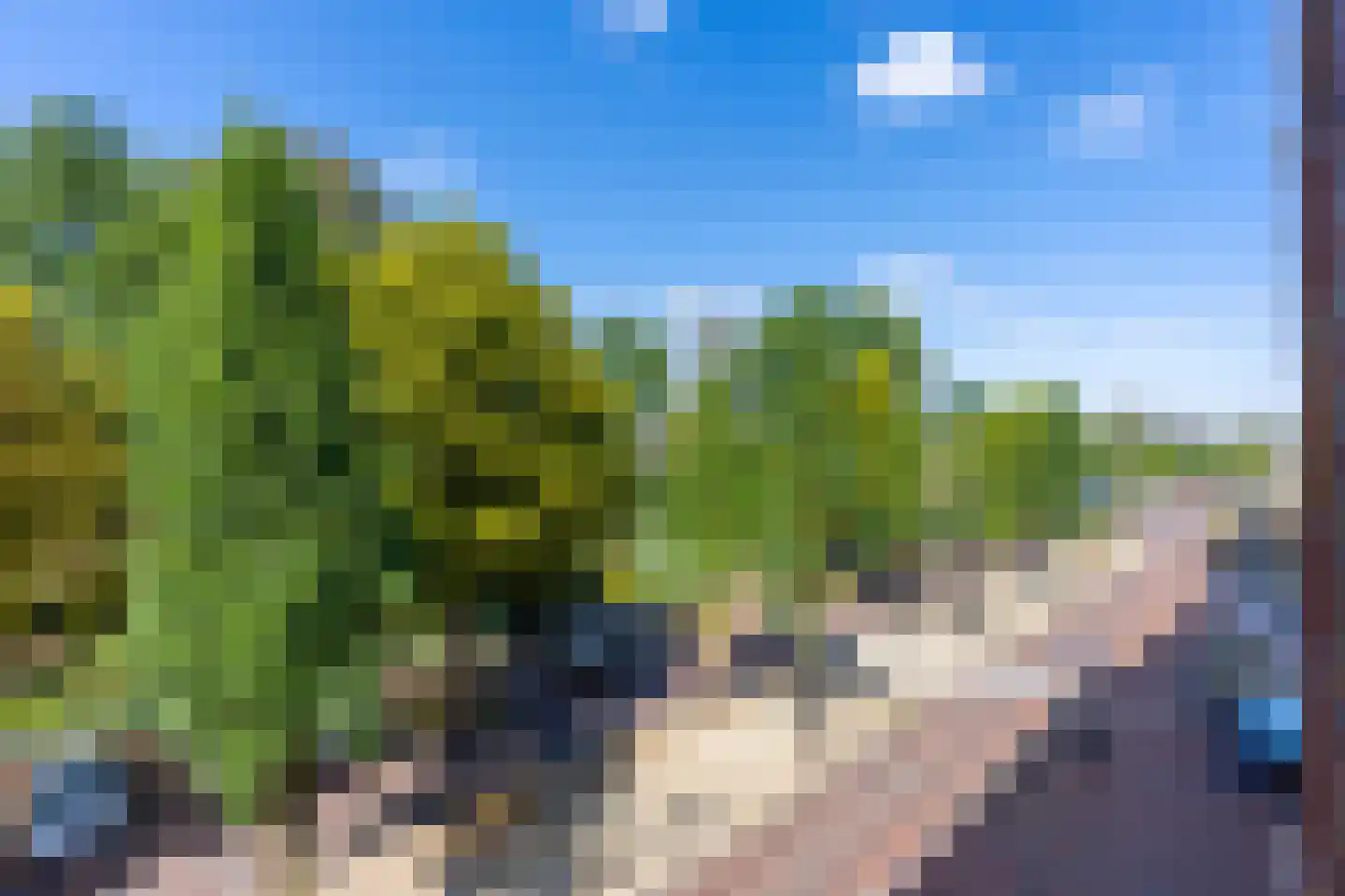 Slotlaan 82 Zeist thumbnail 35