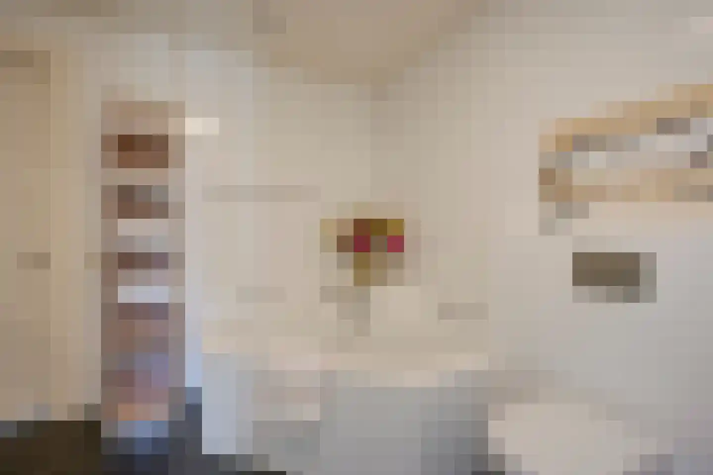 Slotlaan 82 Zeist thumbnail 38