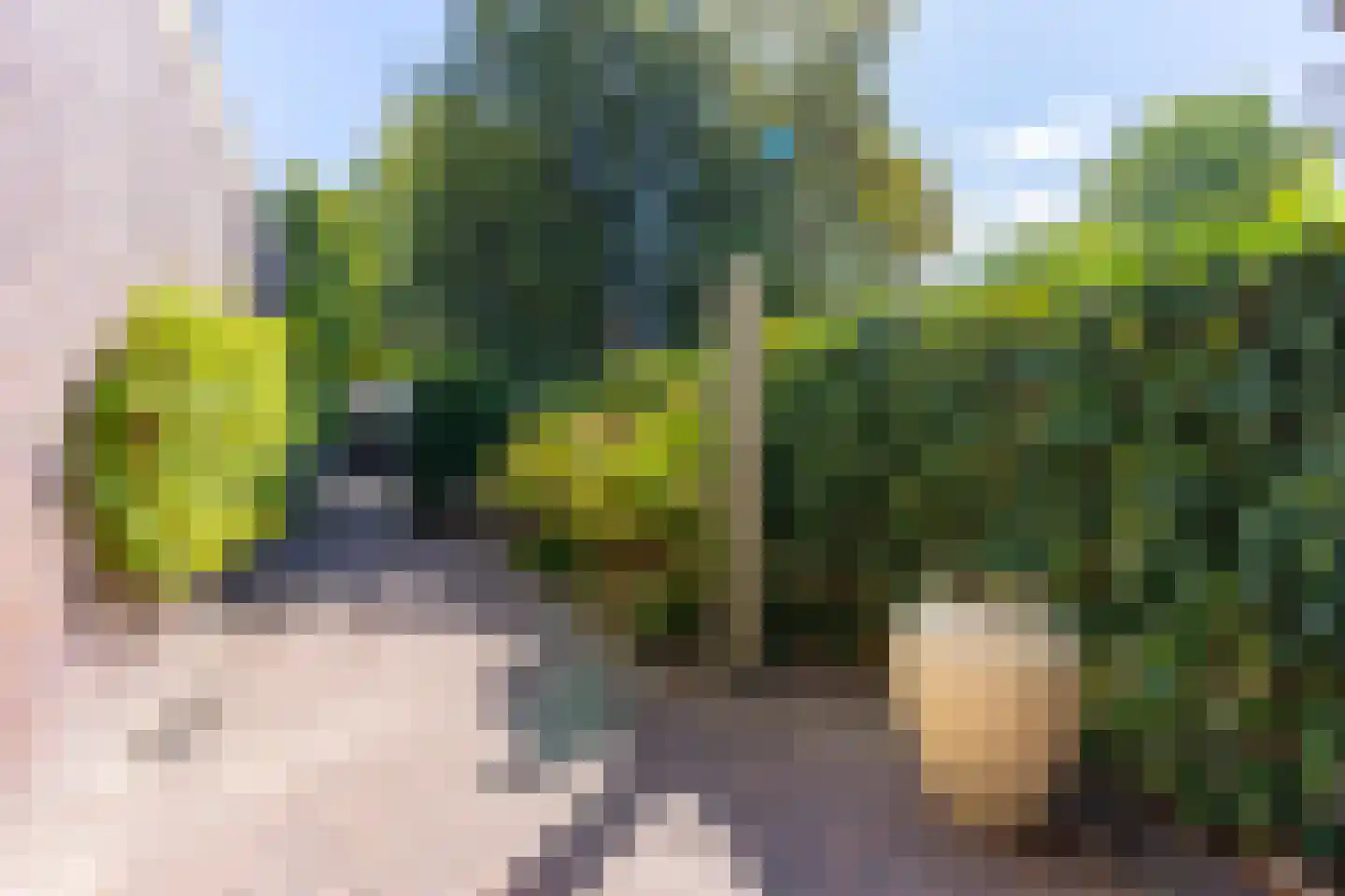 Slotlaan 82 Zeist thumbnail 46
