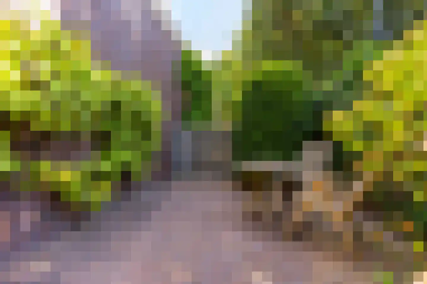 Slotlaan 82 Zeist thumbnail 47