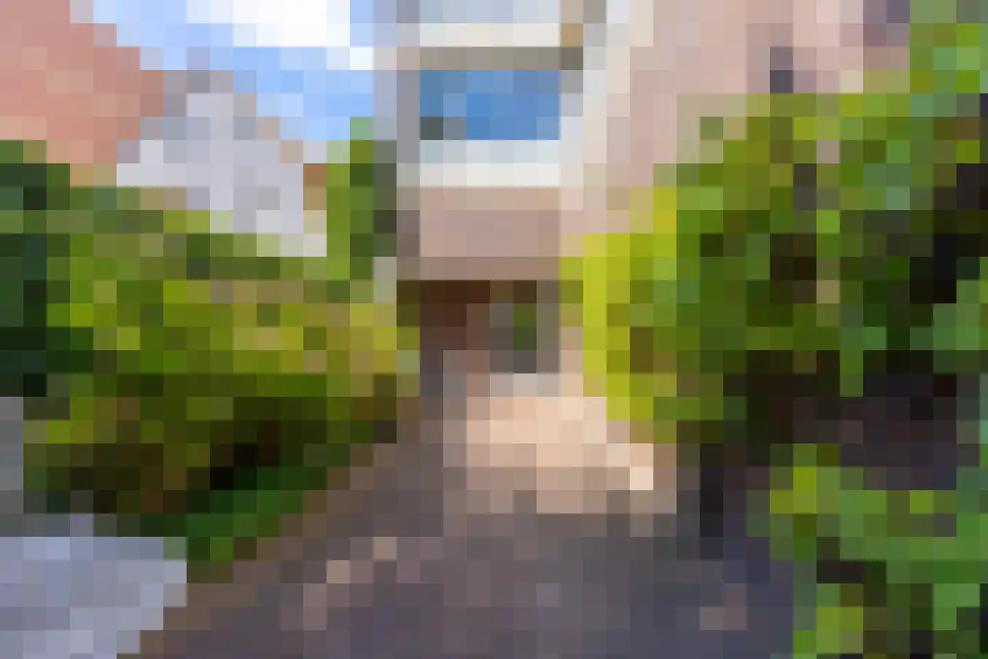 Slotlaan 82 Zeist thumbnail 48